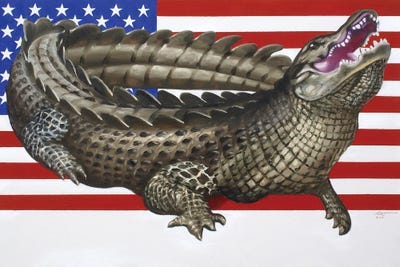 American Alligator Art Print by D. "Rusty" Rust